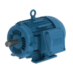 MOTOR ELÉCTRICO WEG